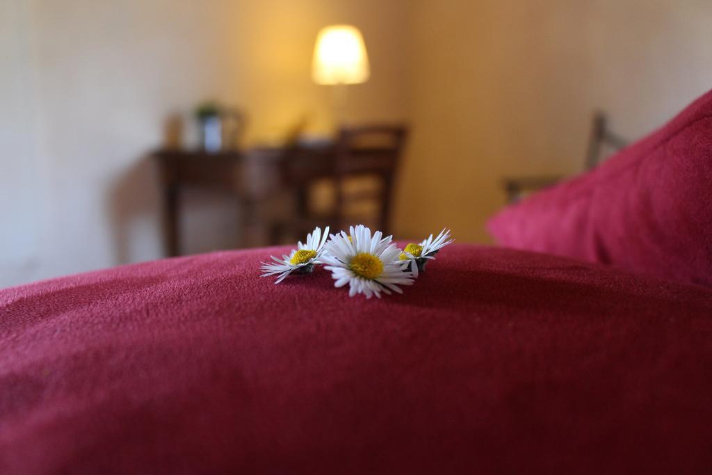 Agriturismo Casavecchia Figline Valdarno Ngoại thất bức ảnh