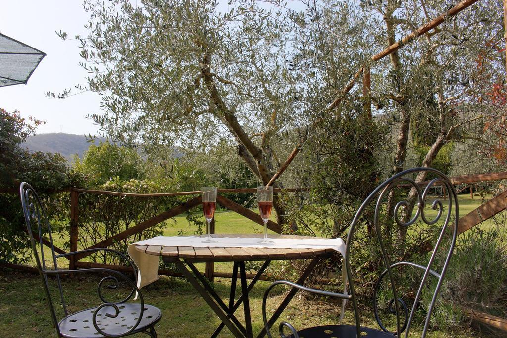 Agriturismo Casavecchia Figline Valdarno Ngoại thất bức ảnh