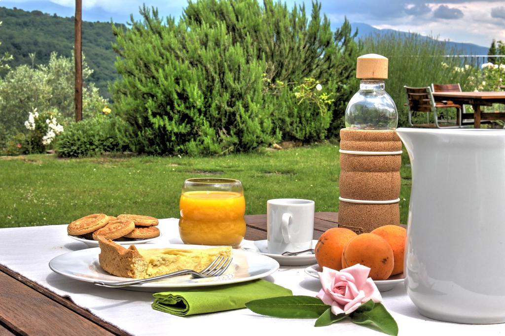 Agriturismo Casavecchia Figline Valdarno Ngoại thất bức ảnh